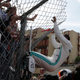 Image for article titled Lewis Hamilton's Record-Setting Monaco Pole Lap Could Have Been Even Faster